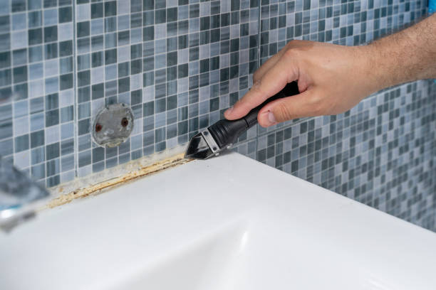 Best Commercial Mold Removal  in Wesley Chapel, NC